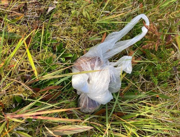 Uønska pynt i naturen