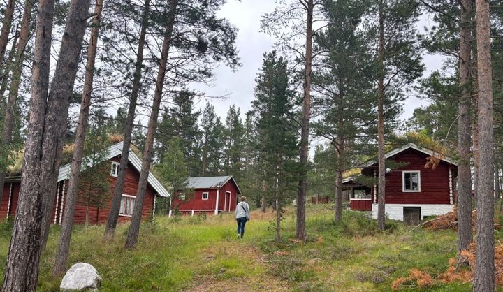 Hyttetun til salgs på Atnbrua