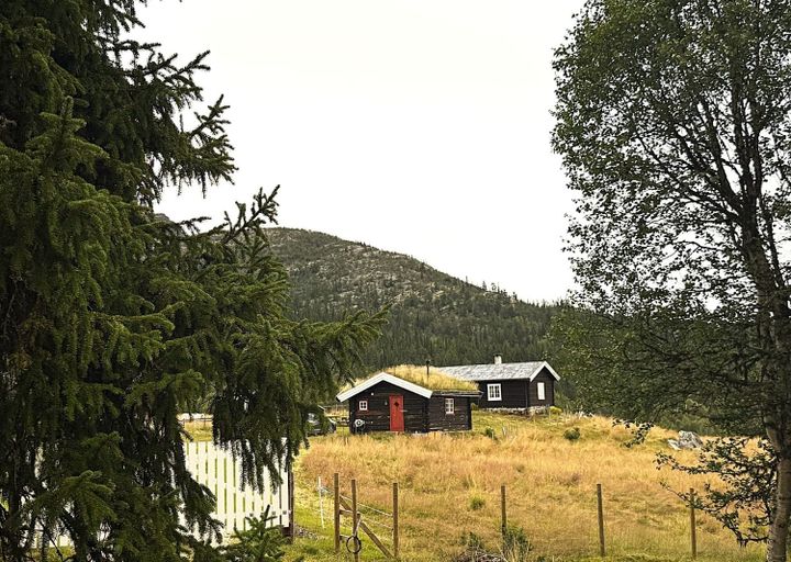 På seterbesøk (1 av 2)