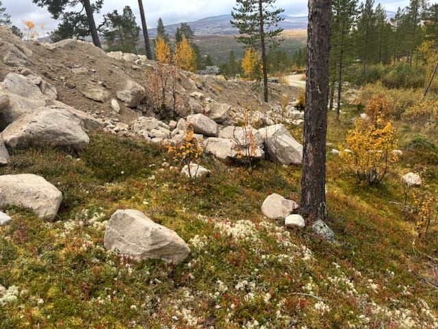 Varsel til kommunen om skjemmende naturinngrep i Atnsjølia