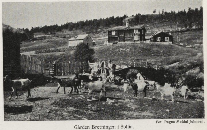 Ukas historiske bilde - uke 42