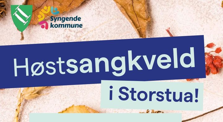 Corvus Corax flyr utenbygds til Koppang den 5. november