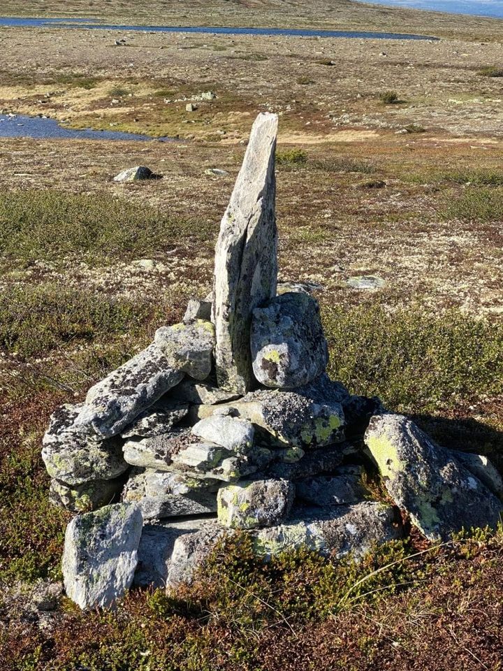 Varde eller ikke varde - det er spørsmålet ...