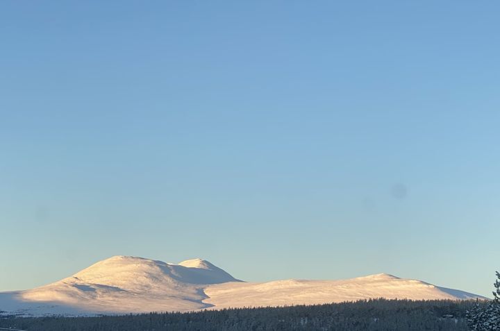 Kommunen vil ha innspill