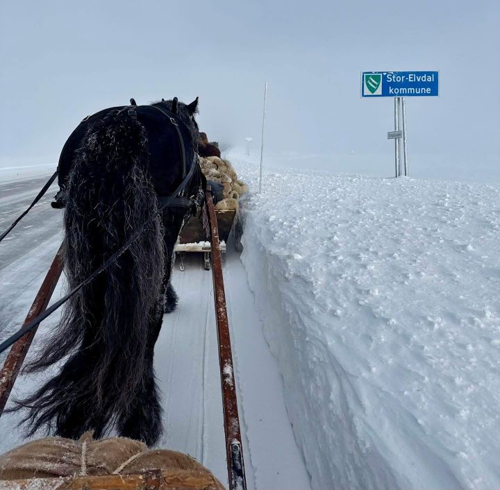 På vinterveien til Røros