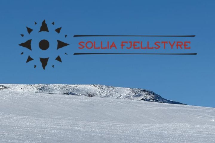 Fra fjellstyremøtet 17. mars