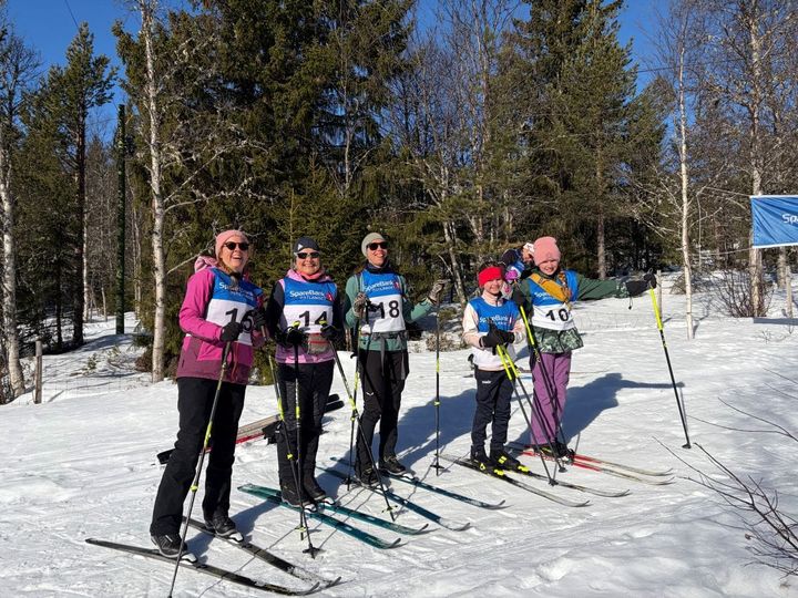 Bjørkebollrennet 2026