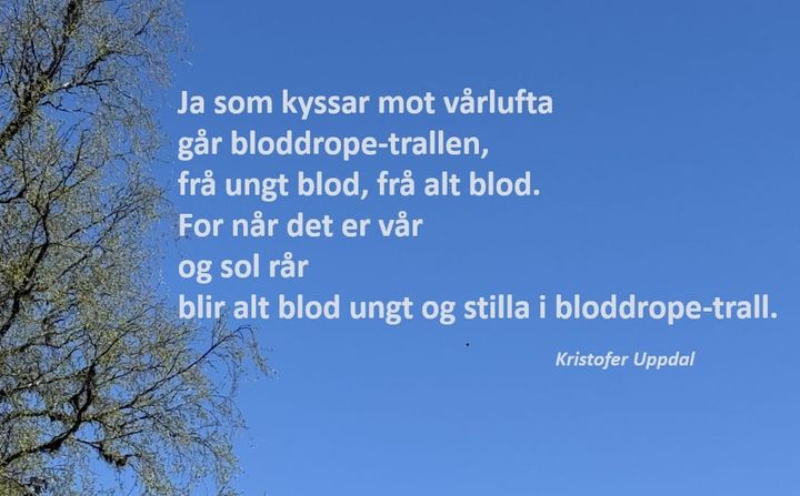 Maidiktet
