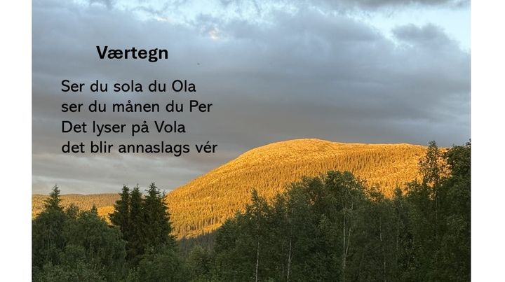 Julidiktet