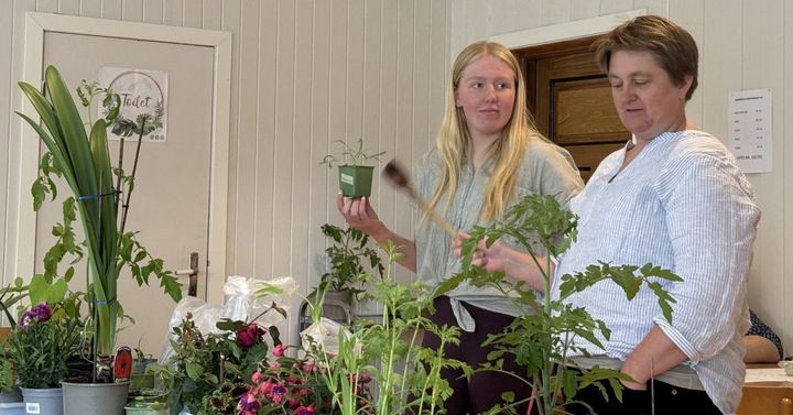 Trivelig blomsterauksjon
