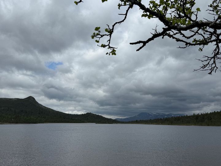 Rapport fra Finnsjøen