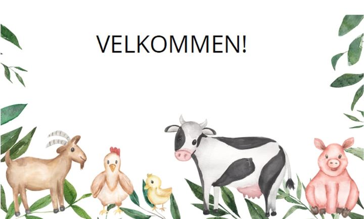 Invitasjon til Skåbumarked