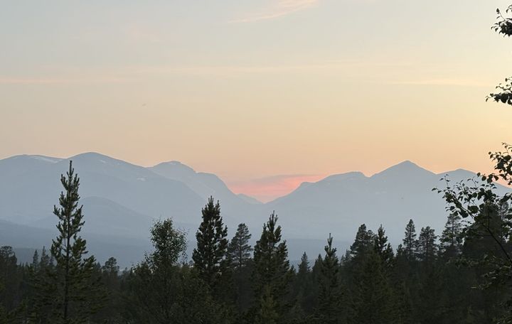 Smånytt i sommervarmen