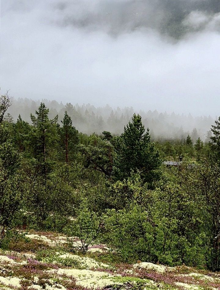 Skodde over Atnsjøen