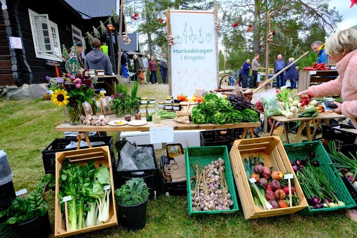 Oppsummering etter "Høsthelg i Sollia"