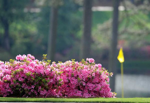 WATCH: Masters TV Ad | American Golf