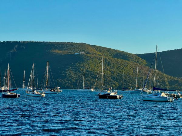 Your Garden Route Event Guide - 2 July