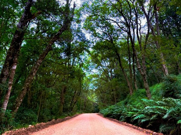Your Garden Route Event Guide - 22 October