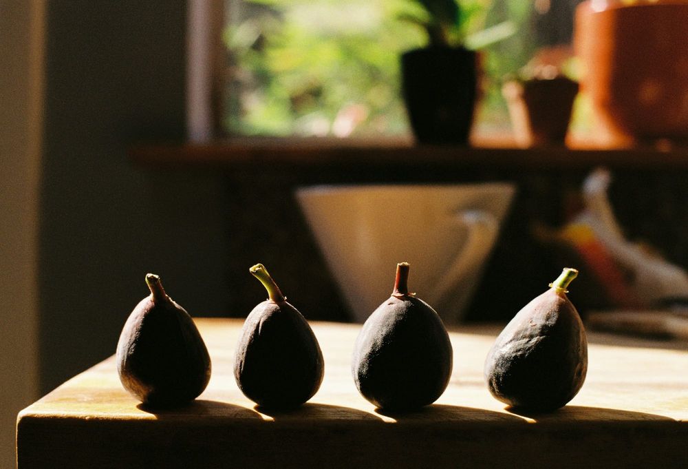 Four ripe dark figs stand in a row on a sunlit wooden table in front of a window with potted plants.