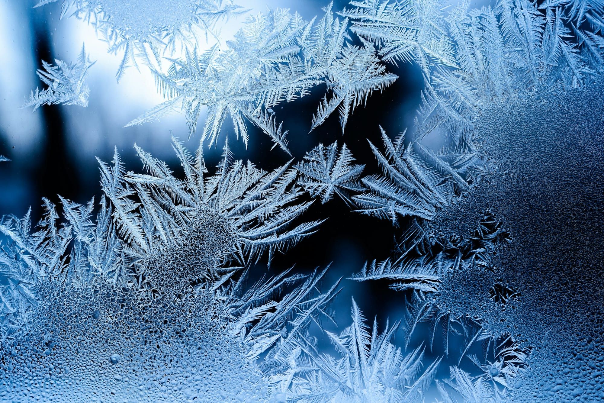 Feathery frost ferns spread across a window pane in cold blue light.