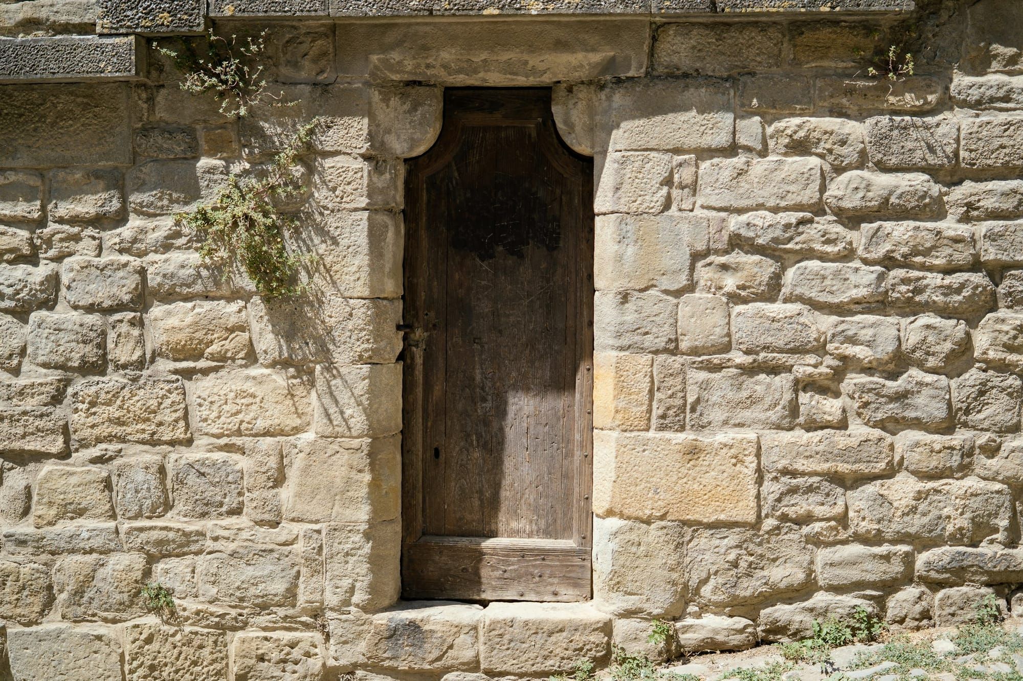 A narrow weathered wooden door set in an old sandstone wall above a worn stone threshold with weeds growing at its edges.