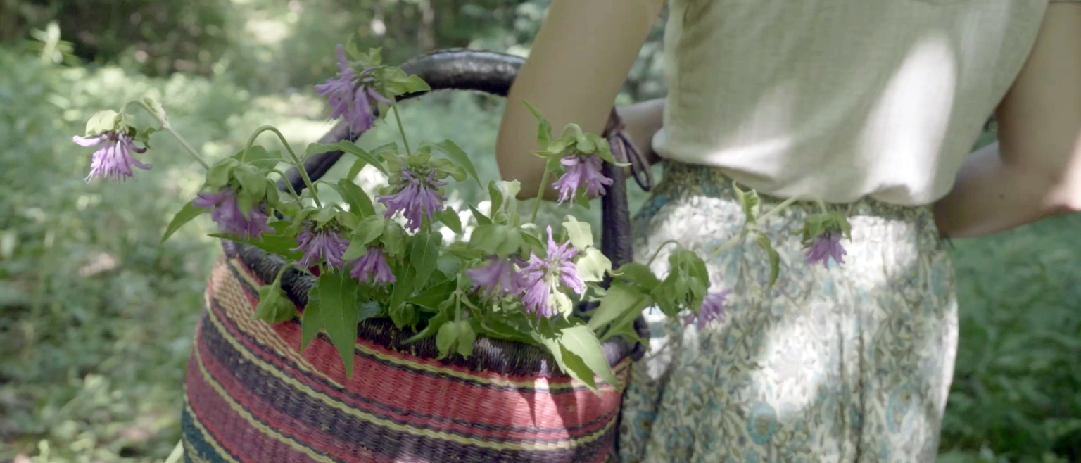 On voit une personne de dos, dans la nature, qui transporte un panier avec des fleurs.