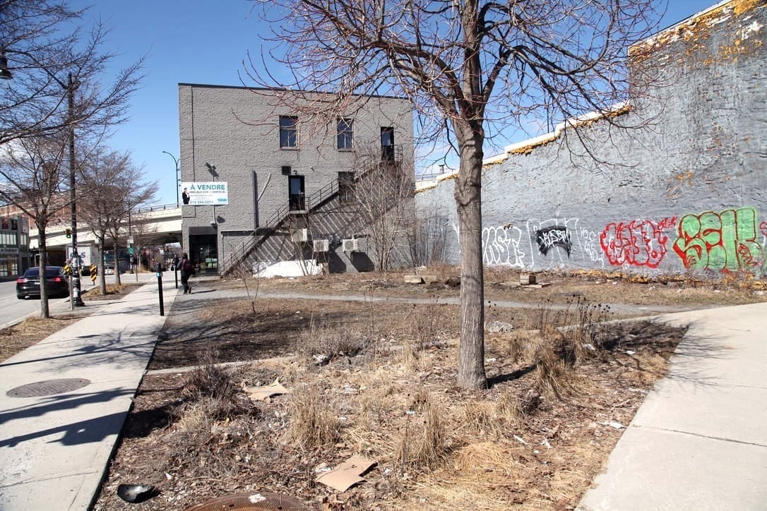 On voit le terrain délaissé, avec sa végétation jaunâtre. 