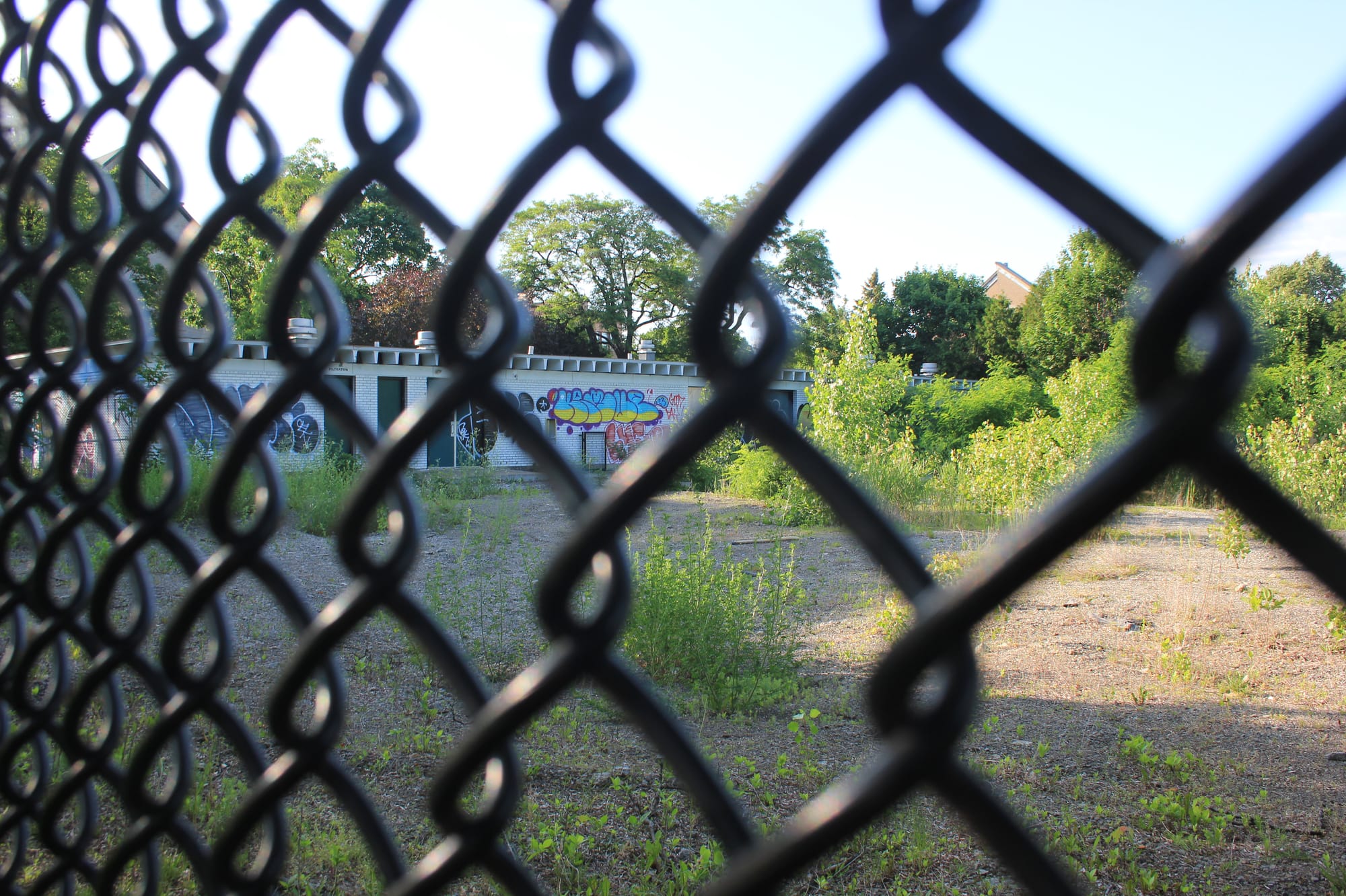 Au travers d'une clôture, on voit des plantes sauvages pousser sur le sol où se trouvait anciennement la piscine, avec le pavillon graffité à l'arrière. 