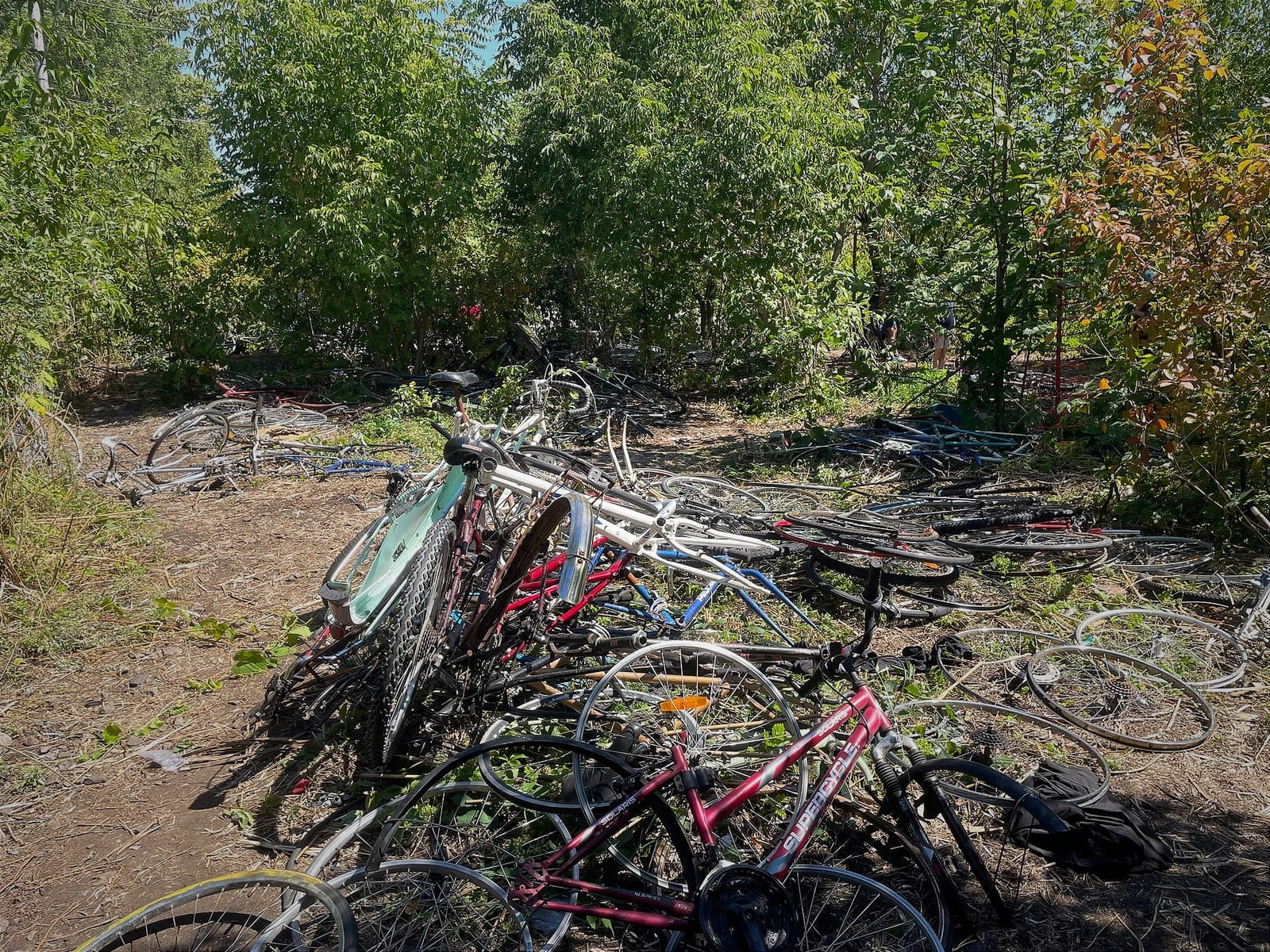 Des cadres et des roues de vélos par dizaines, entourés d'arbres, dans le Champ des Possibles.