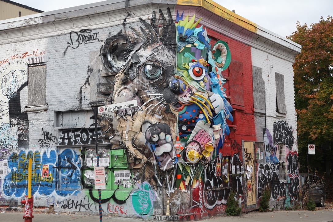 La murale, qui sort du coin du bâtiment, présente un hérisson de face, avec un côté en noir et blanc et un autre en couleur.