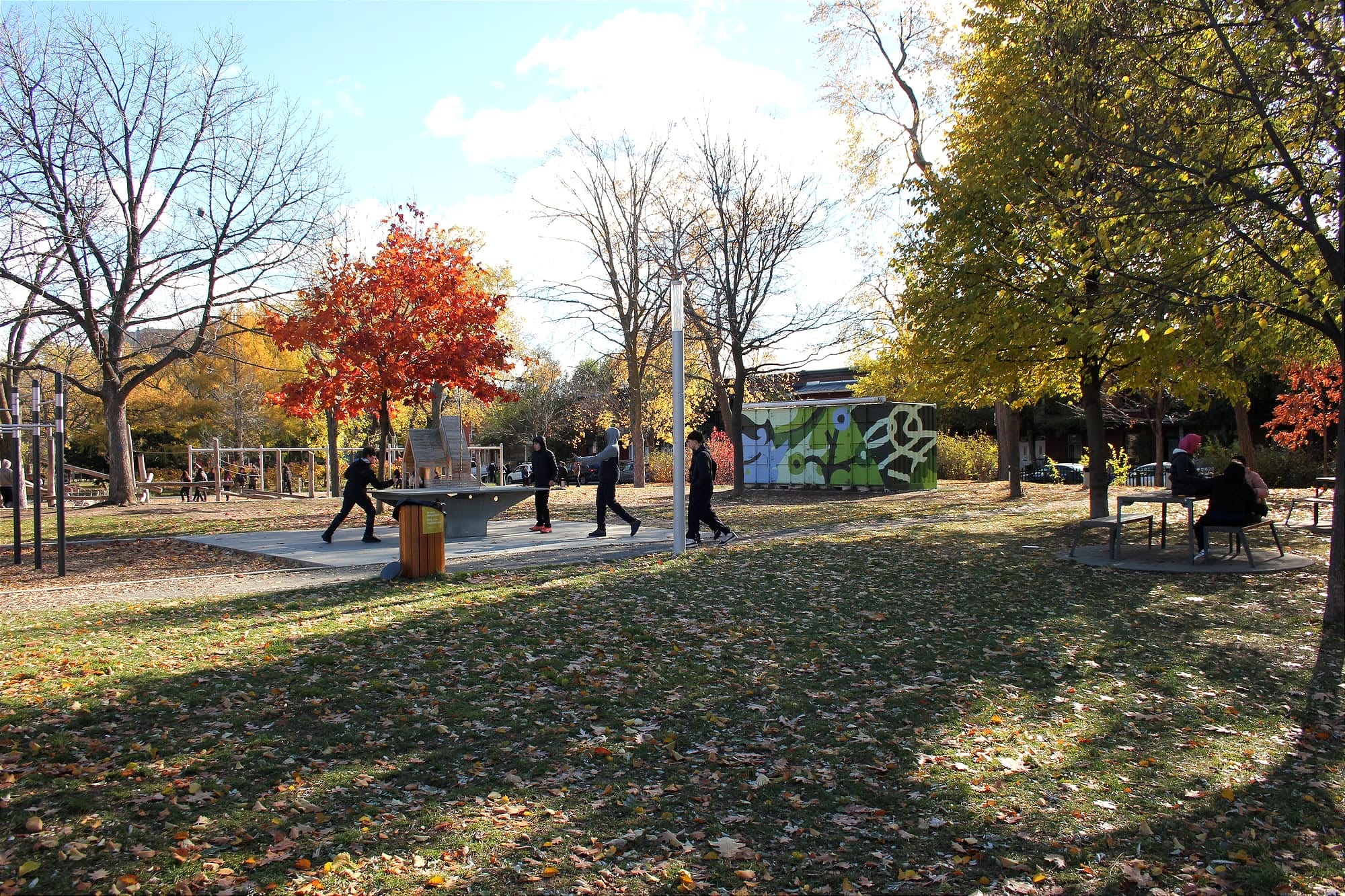 La lumière d'automne tombe doucement sur le parc. Un arbre aux feuilles couleur rouille est entouré d'autres végétaux aux branches délaissées. 