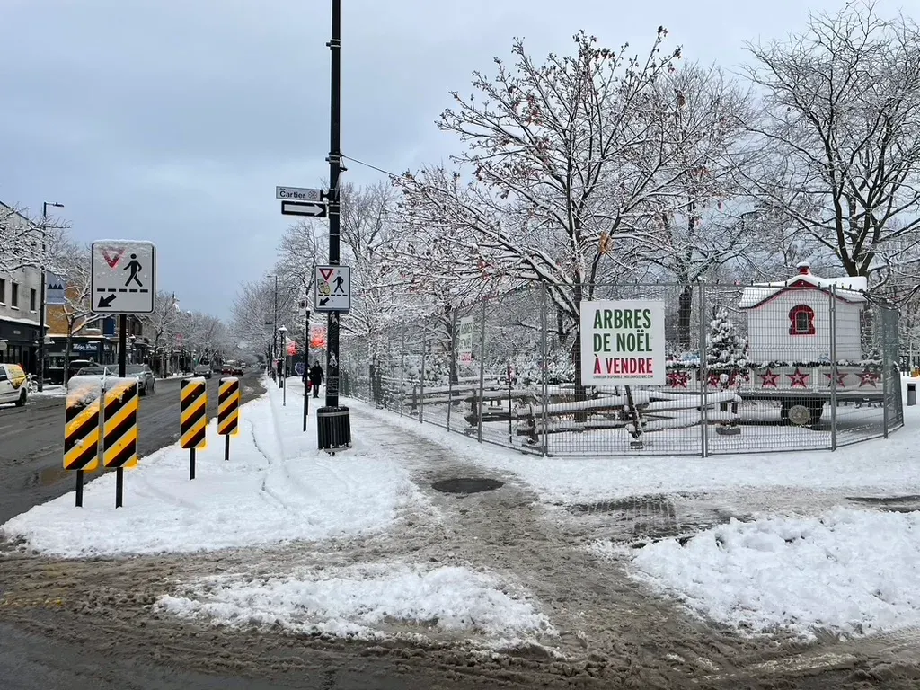 Le parc sous la neige, au coin des rues Cartier et Mont-Royal, avec une affiche indiquant "ARBRES DE NOËL À VENDRE".