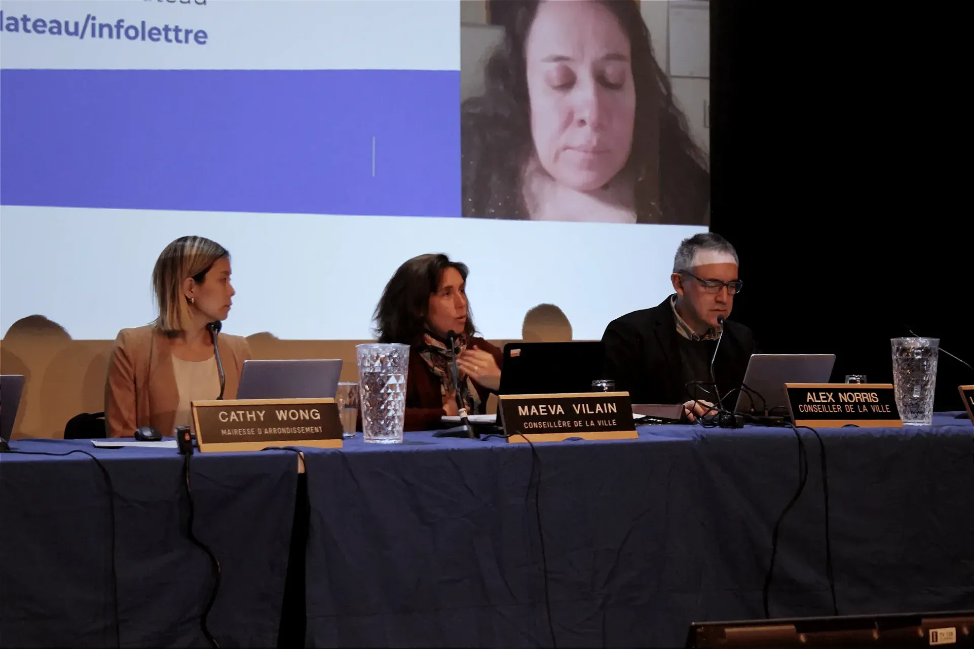 Mme Vilain siège aux côté d'autres élus du Plateau-Mont-Royal à la séance ordinaire du conseil d'arrondissement de février 2026.