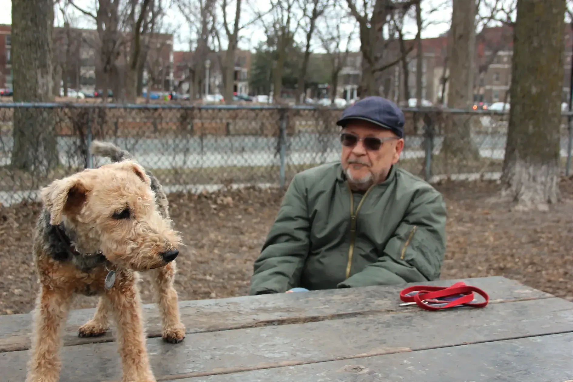 Le canidé observe l'action hors cadre, debout sur une table de pique-nique, alors que son maître est assis sur le banc derrière lui.
