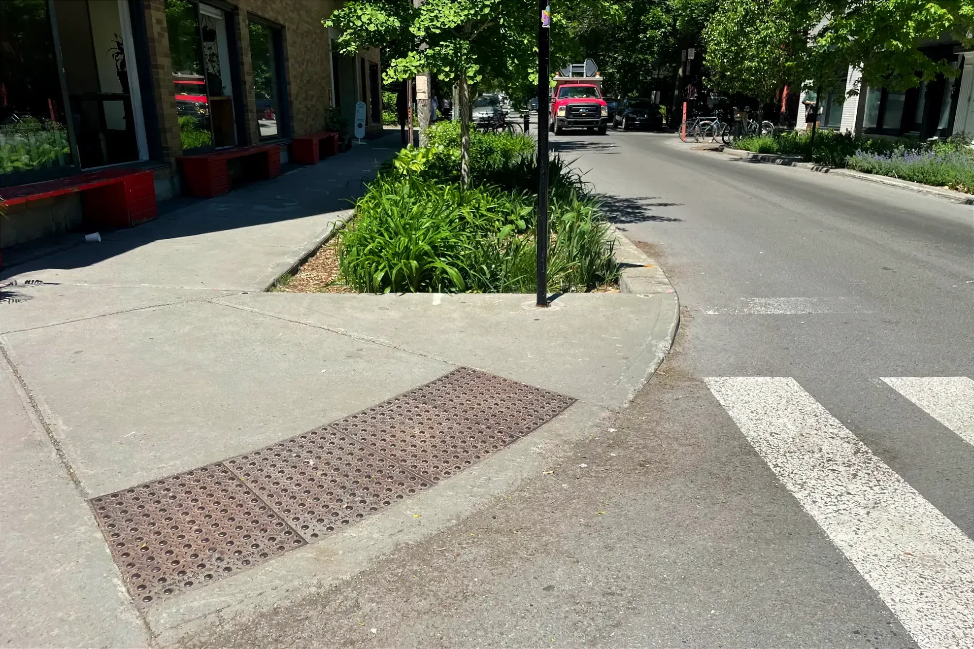 Des plaques brunes, munies de plusieurs dizaines de bulles texturées, contraste avec la couleur bétonnée du reste du trottoir.