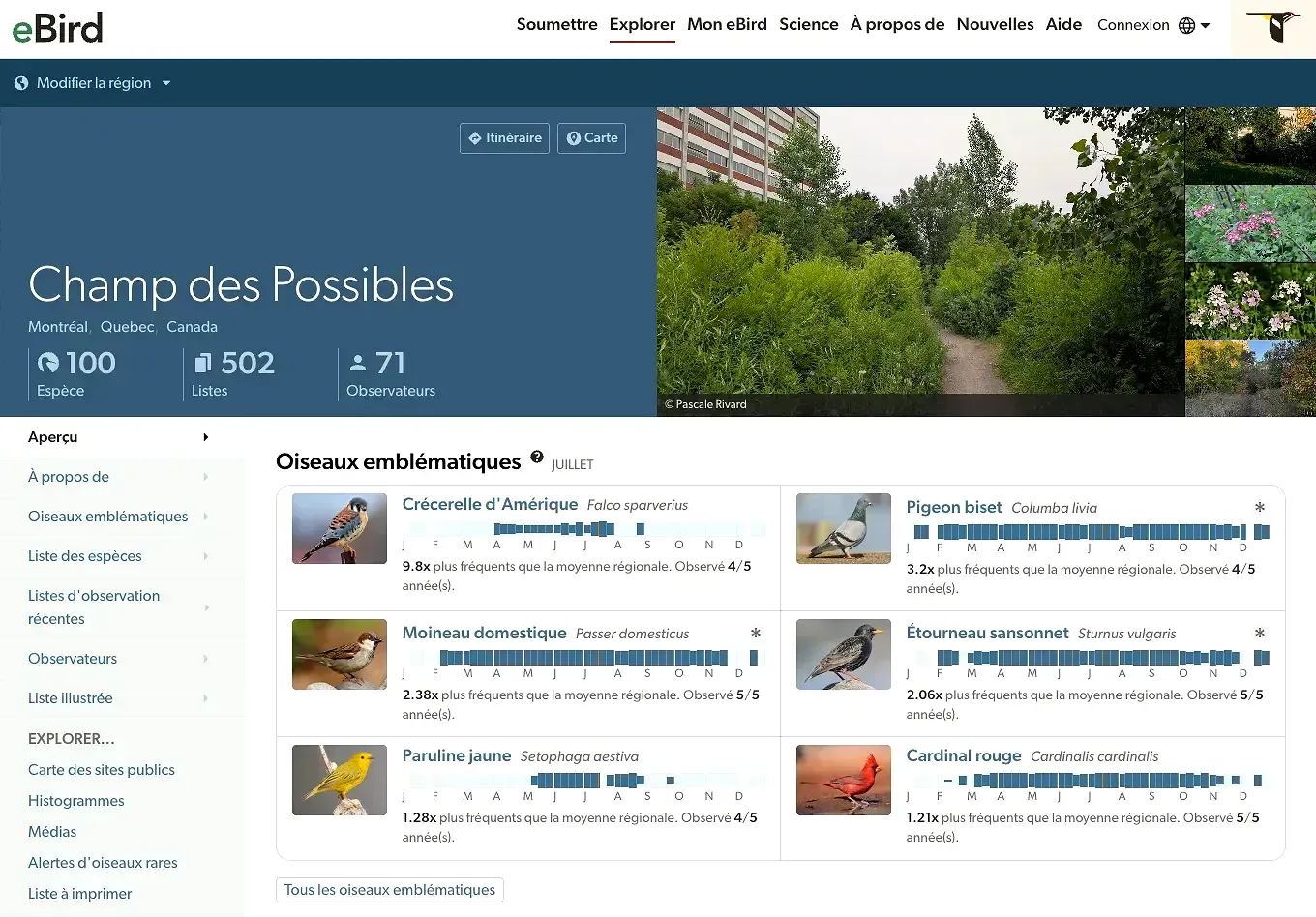 On voit quelques photos en haut à droite de l'écran, ainsi qu'une liste des oiseaux emblématiques du lieu, dont la crécerelle d'Amérique, le pigeon biset et le moineau domestique.