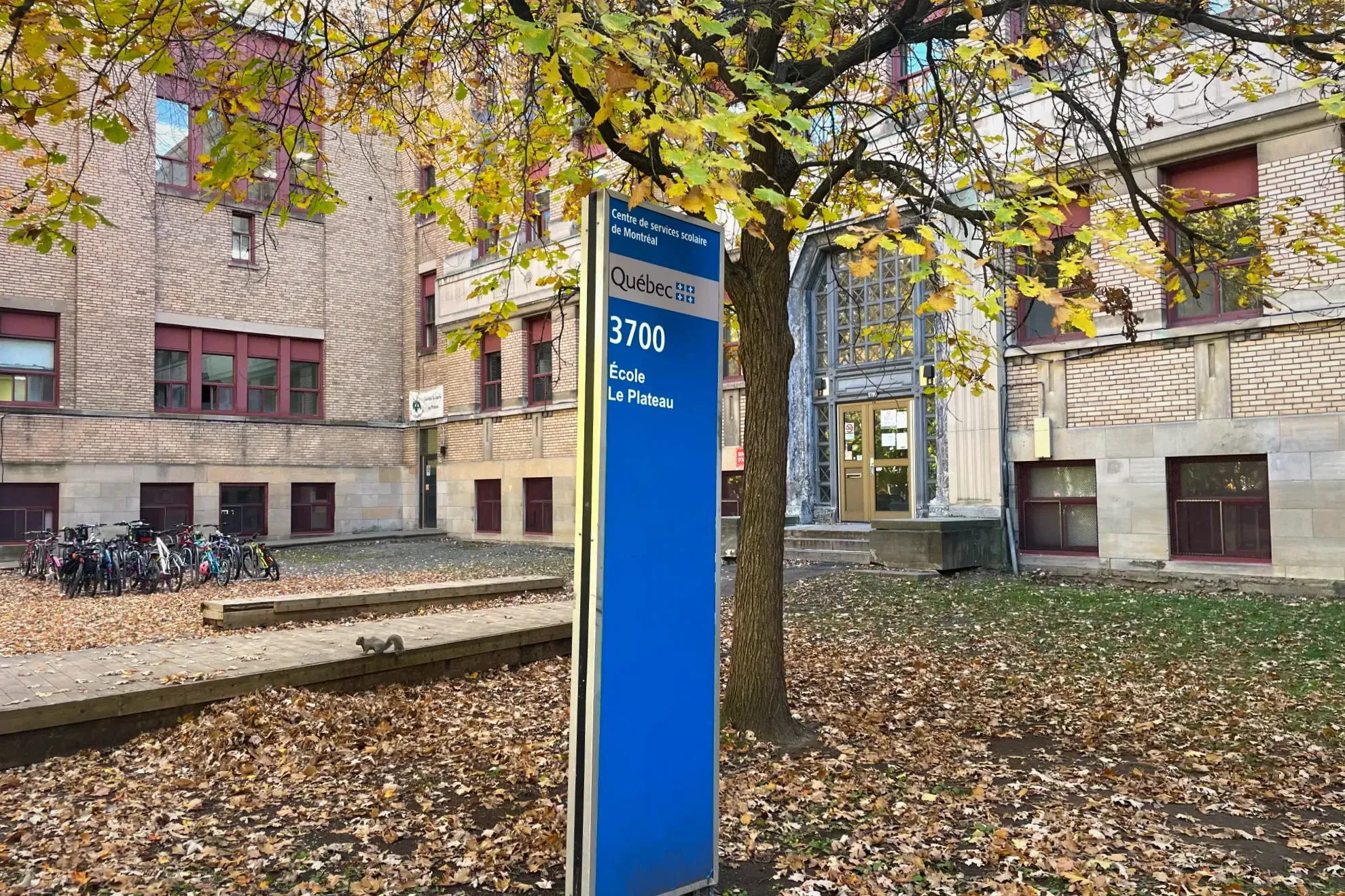 Derrière un panneau bleu du CSSDM qui indique «3700 – École Le Plateau», on peut voir l'entrée principale de l'école et le terrain gazonné, recouvert de feuilles d'automne.