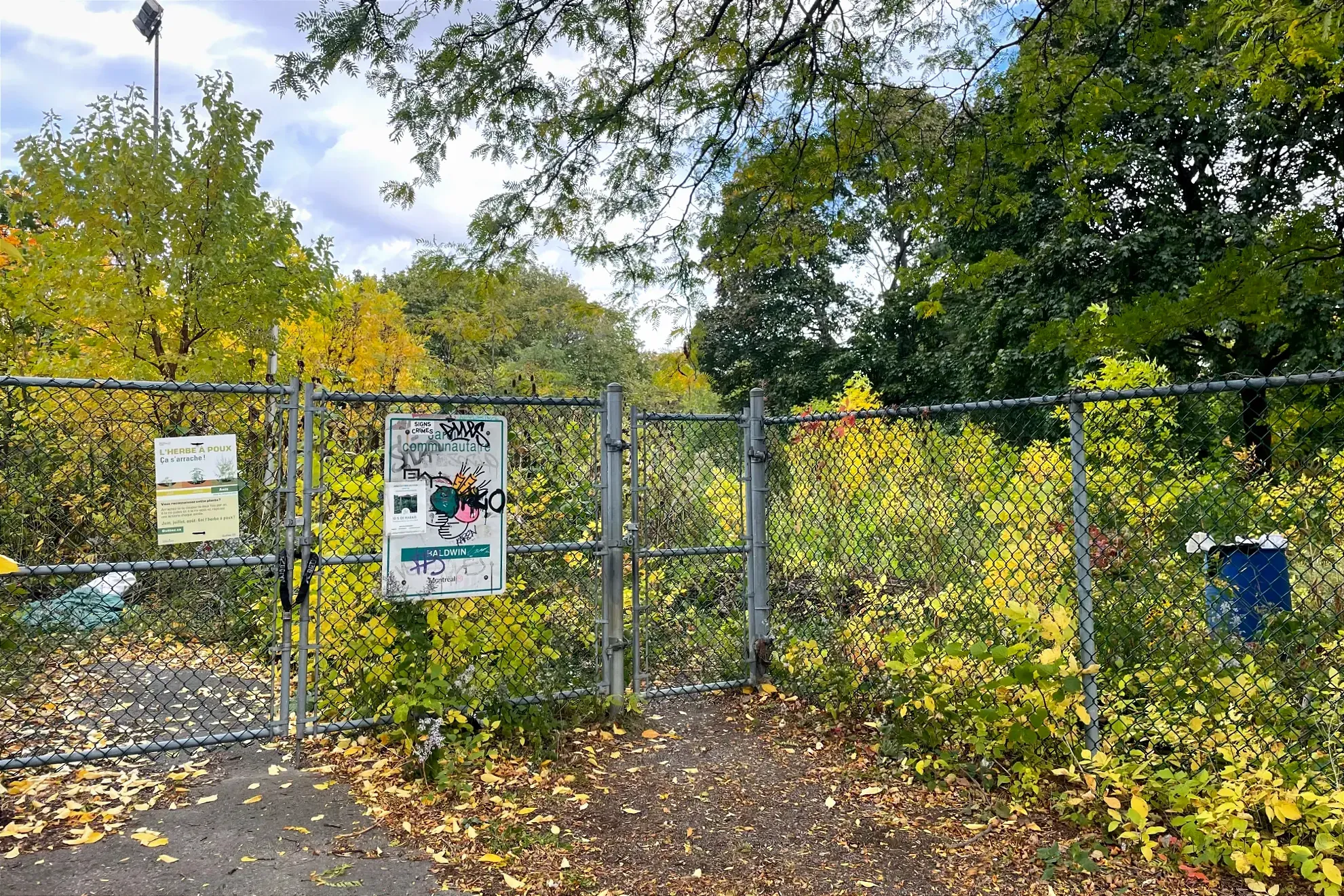 Une clôture fermée à chaînes coupe le chemin à des végétaux qui semblent pousser sans intervention humaine. On peut devenir «jardin communautaire» et «Baldwin» sur un panneau couvert de graffitis.