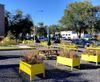 Qu’est-ce qui retarde la construction de logements sociaux et communautaires dans Le Plateau?