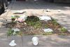 Quelques déchets éparpillées sur et aux alentours d'un carré d'arbre sans arbre. 