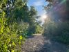 Un sentier qui traverse le Champ des Possibles, avec une verdure luxuriante et un soleil radieux de fin d'après-midi d'été.