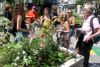 Un groupe en été à Milton-Parc, près d'un bac avec des fleurs et des plantes.