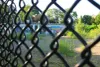 Vue du site de la piscine à travers les mailles de la clôture. On voit la végétation qui repousse sur le sol où se trouvait autrefois le bassin.