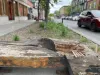 Une section du banc en bois est complètement effritée.