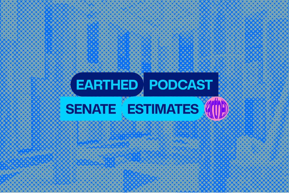 Bonus episode! Our senators at work