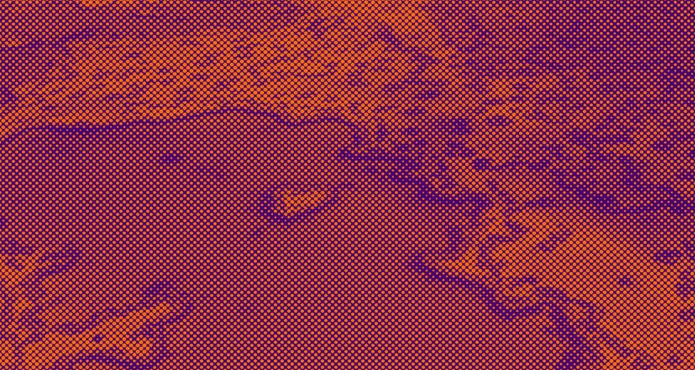 Issue 19: Rethinking net-zero action