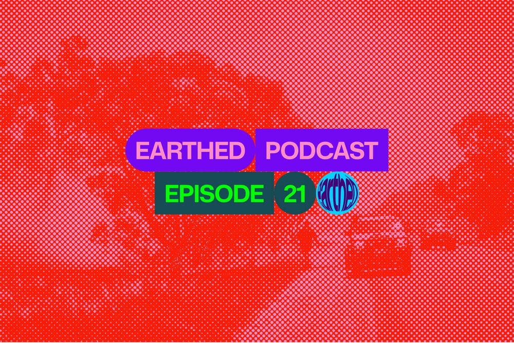 Tackling waste plastic, koalas and carbon credits, and more