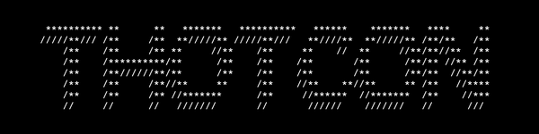 Thotcon 0xd Presentation Resources