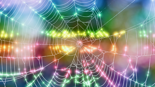 Webhooks vs Web APIs: A Quick Guide for Visual Developers