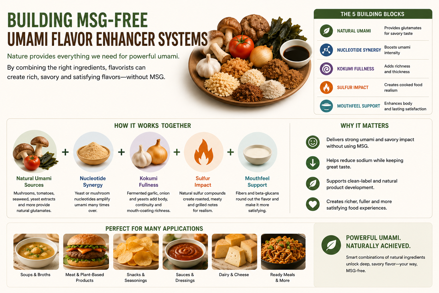 Technical Guide: Building MSG-Free Umami Flavor Enhancer Systems
